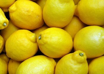 【輸入レモンの防カビ剤って危険⁈】農薬？汚い？外国産・国産レモンの違いや洗い方を徹底解説